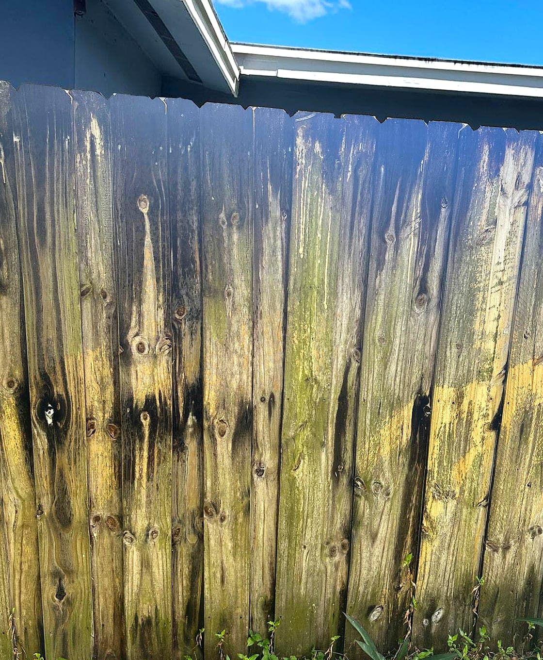 Grey, algae-streaked wood fence before soft washing